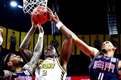 开云官网-广东队在客场战胜对手，夺冠追梦