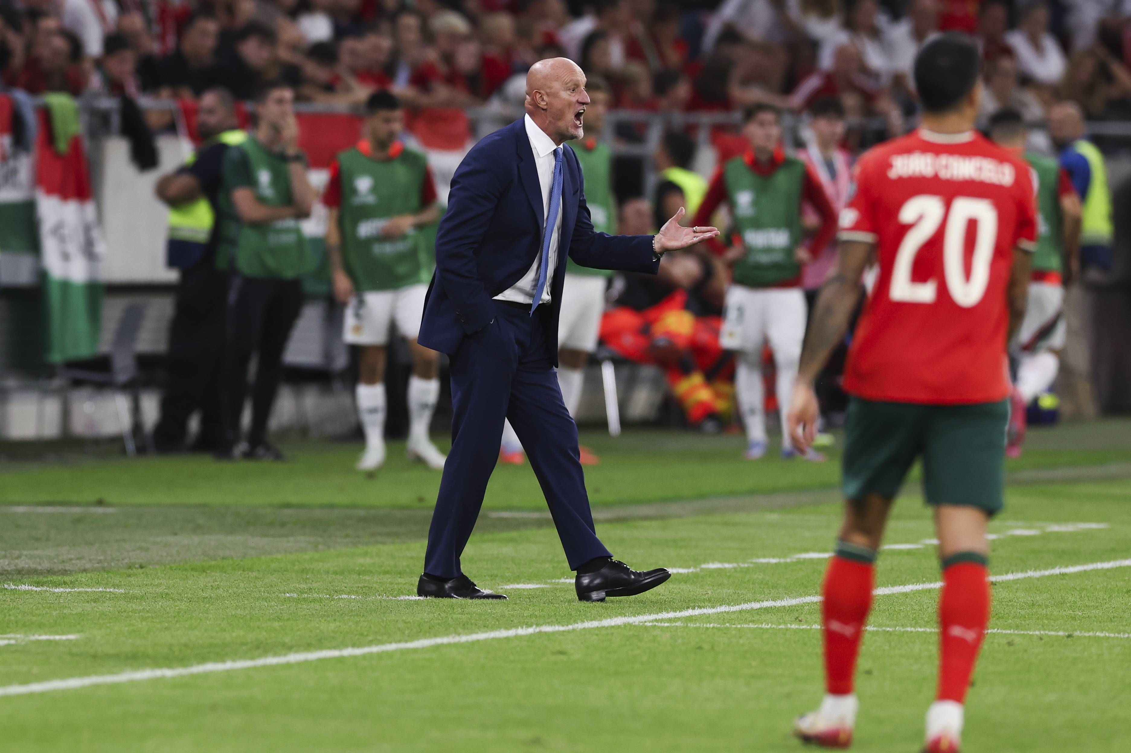 欧洲杯:匈牙利队奋力抵抗,被葡萄牙队逆转 欧洲杯:匈牙利队奋力抵抗,被葡萄牙队逆转