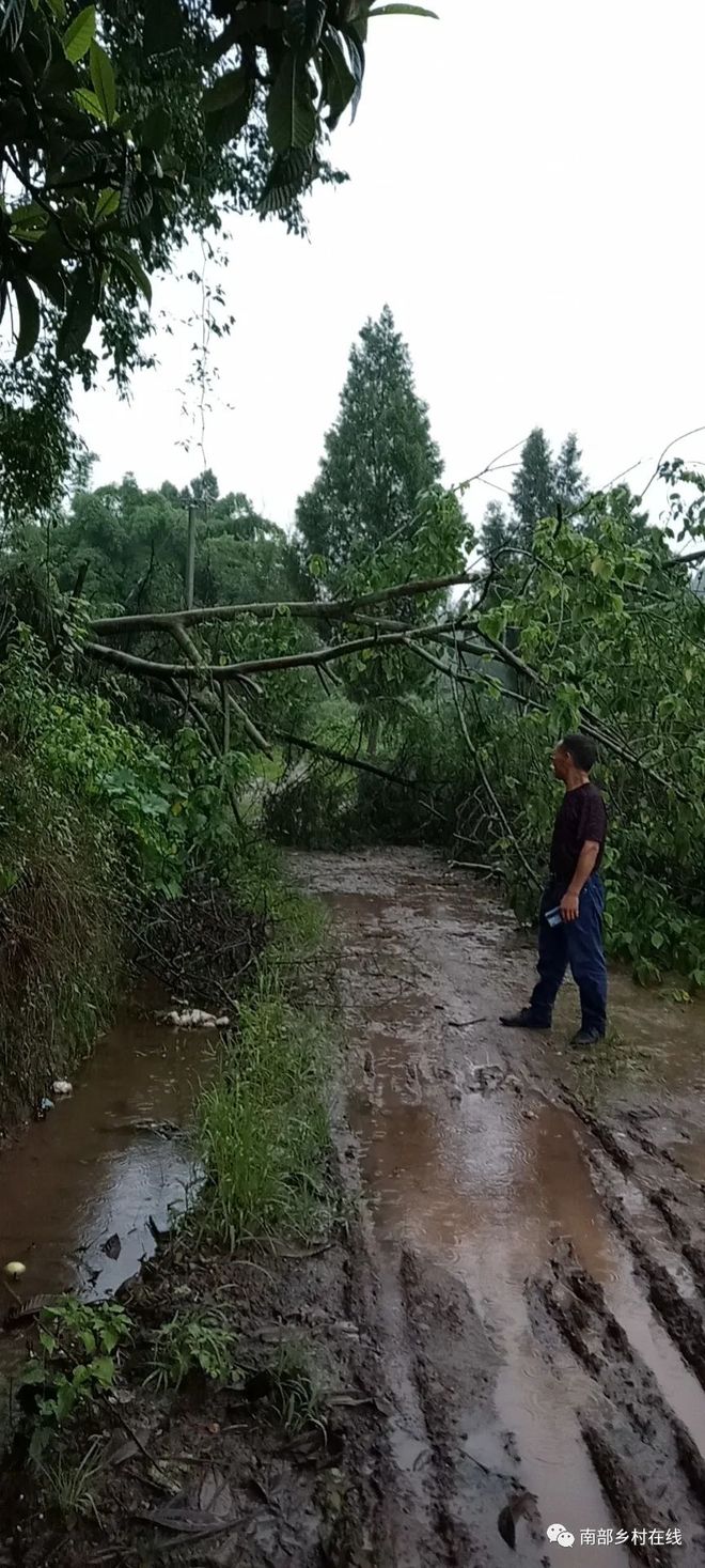 火箭队遭遇暴雨袭击,未来前景堪忧 火箭队遭遇暴雨袭击,未来前景堪忧