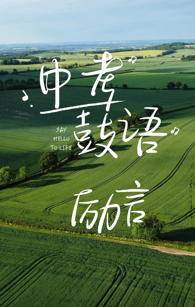 胜利之梦：每一场比赛都是实现梦想的新起点