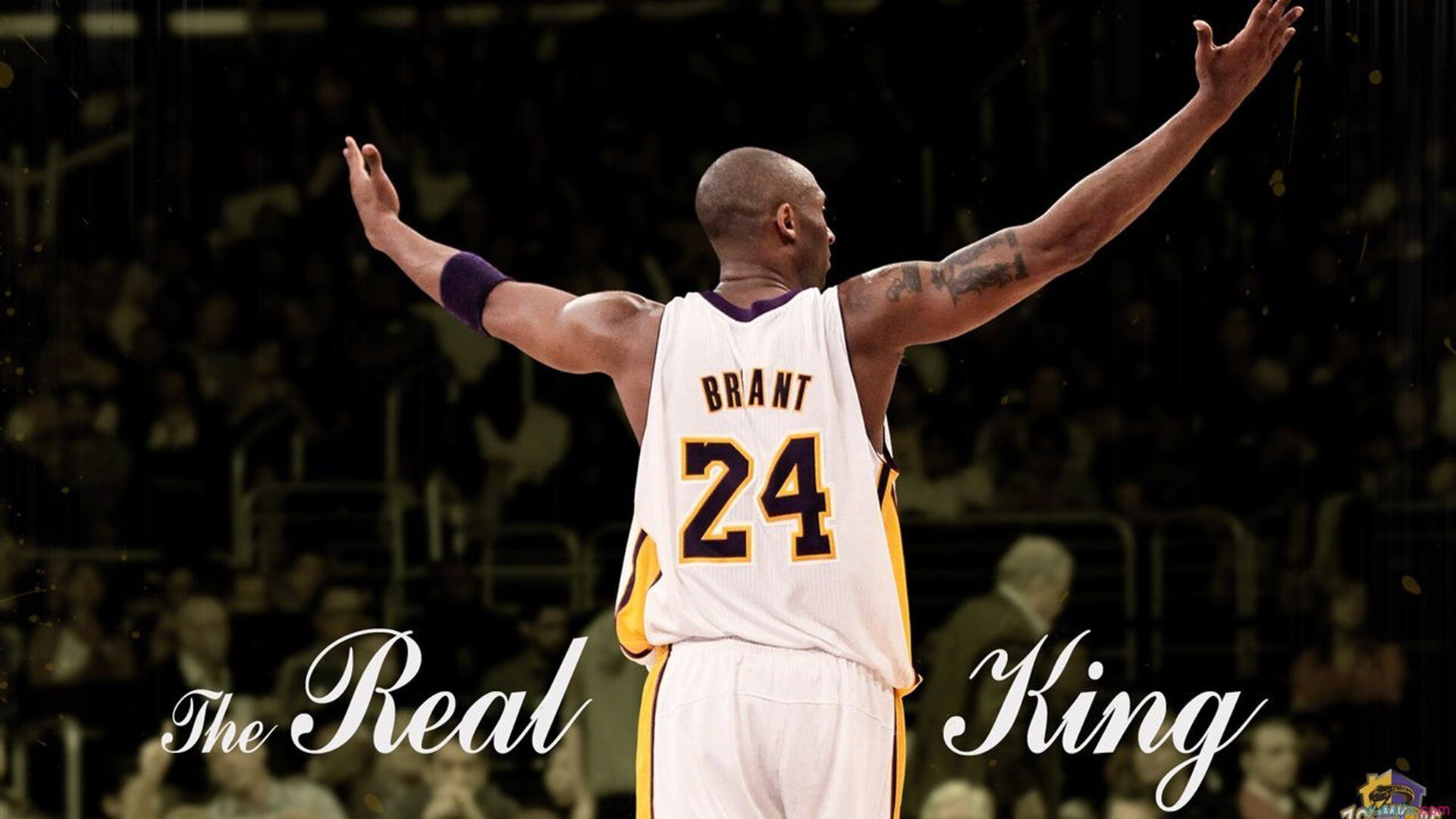 布伦森日灼福建,东方劲旅鏖战太阳