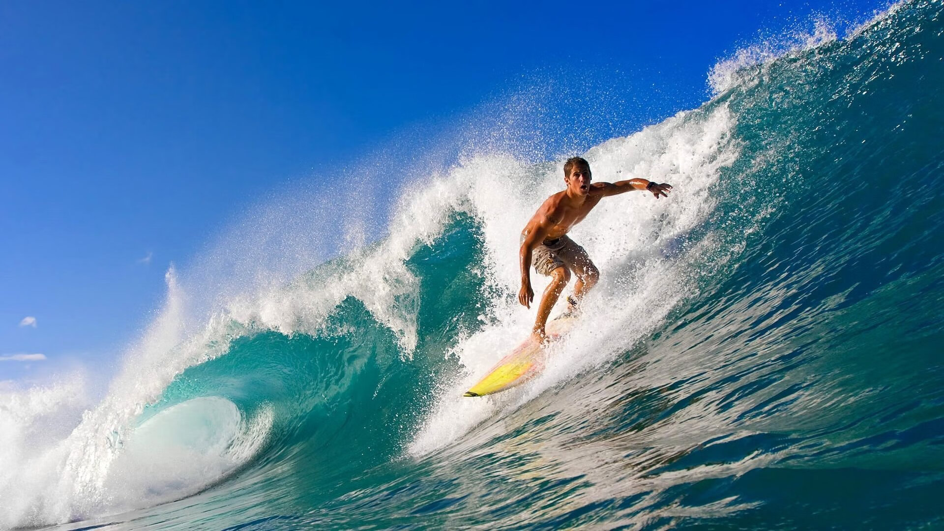 足羽交响曲,德国队完胜法国队,陈雨菲状态火热点燃双赛道